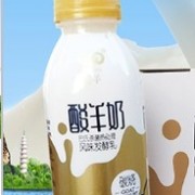 大連九羊乳業(yè)股份有限公司